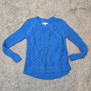 ˚ ༘⋆🛍️Ann Taylor LOFT Womens Blue Round Neck Raglan Chunky Knit Sweater ｡˚👚